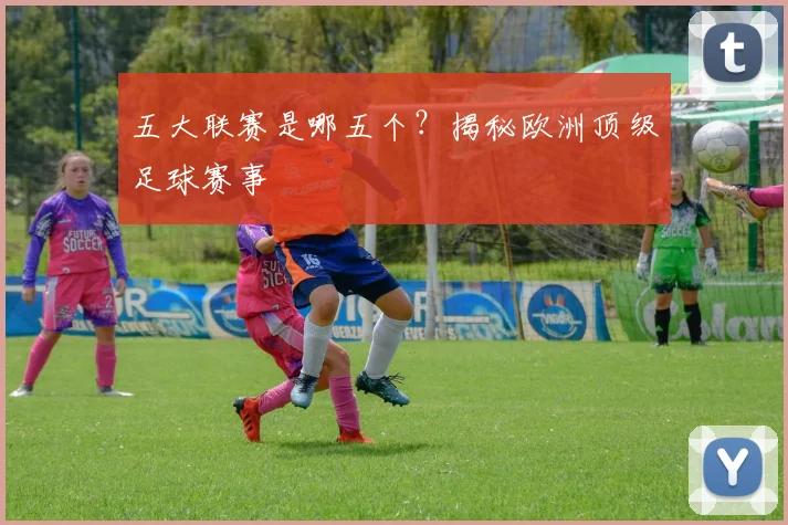 五大联赛是哪五个?揭秘欧洲顶级足球赛事